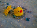 Rubber Duckie with Yellow Daisy and Blue Glass Bead Bubbles for Baby Shower Bingo